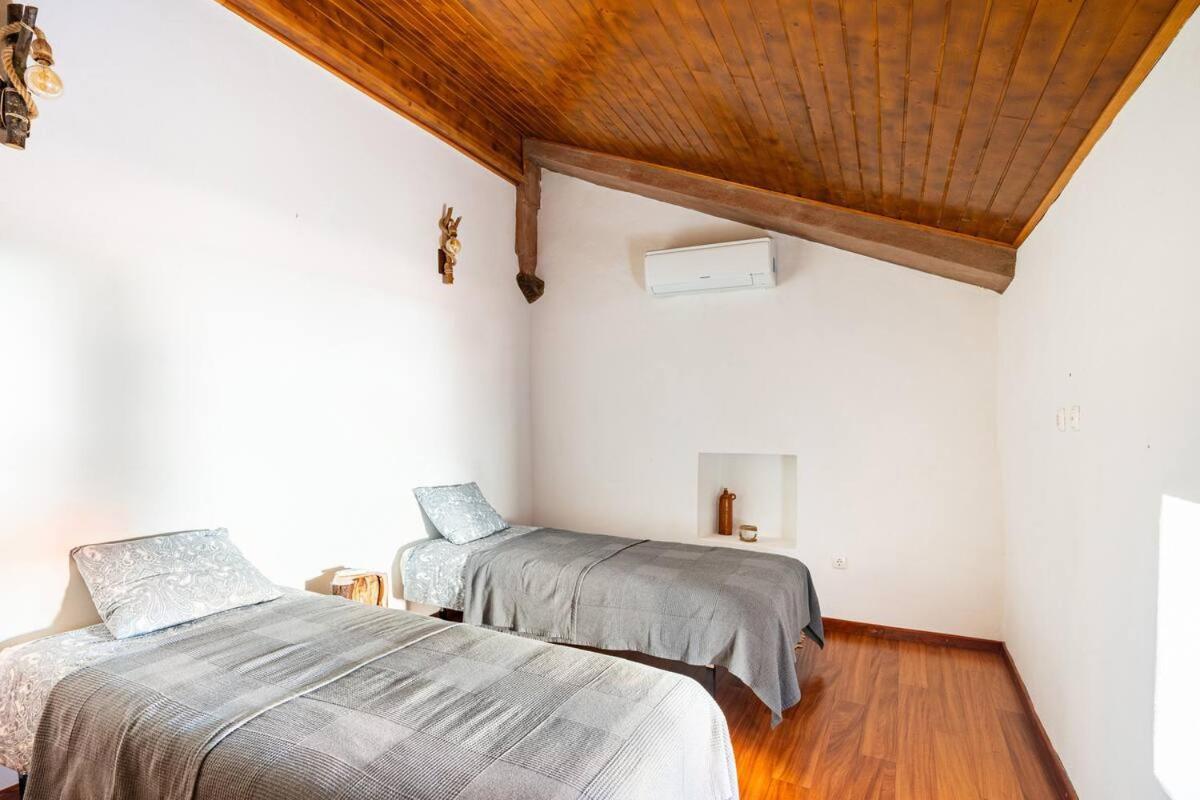 Segredos Da Montanha - Mangualde Villa Eksteriør billede